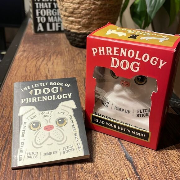 Dog Phrenology figurine  - Picture 1 of 7